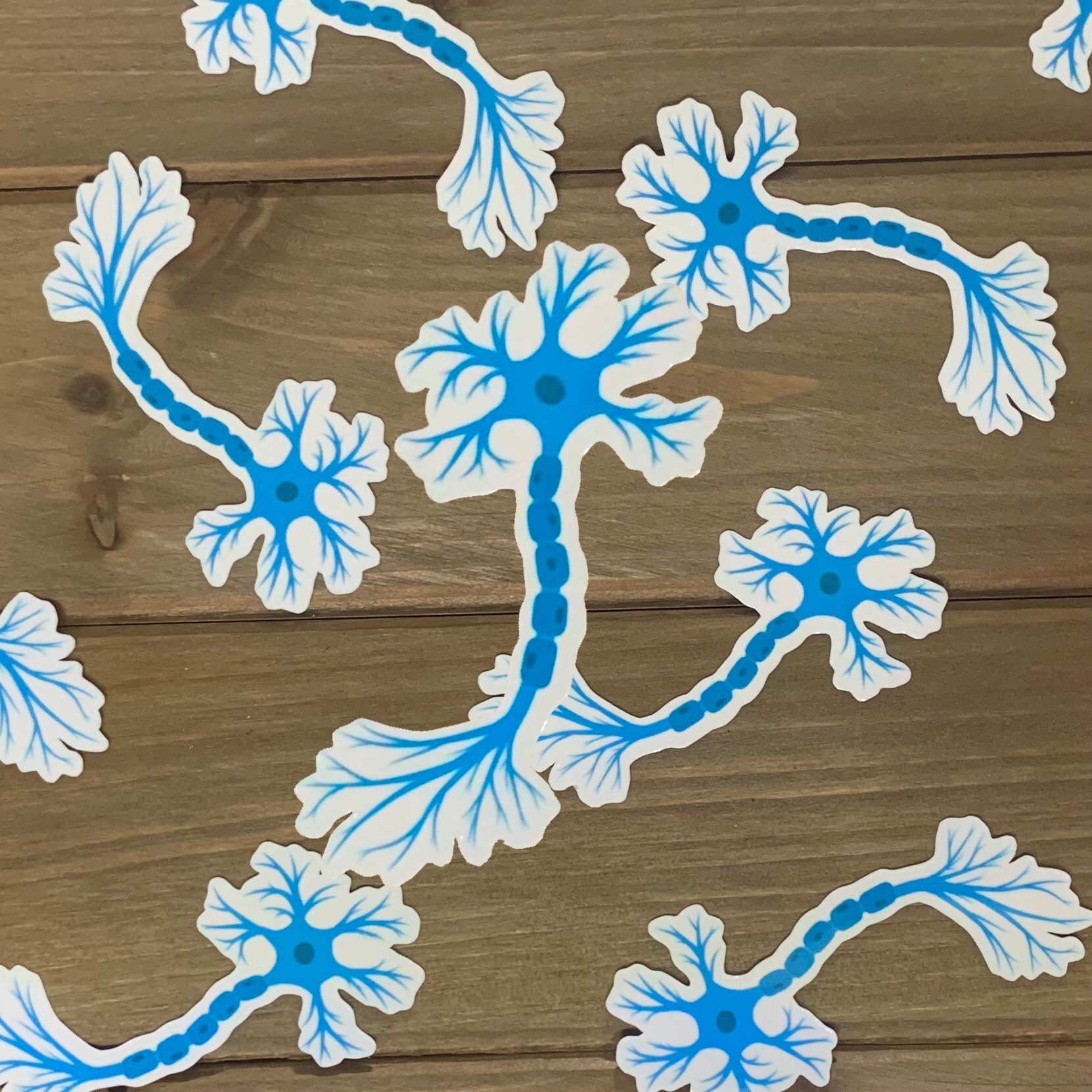 Edible Neuron Sticker Neuron Sticker: Neuroscience Vinyl Decal for Laptop, Water Bottle - Etsy