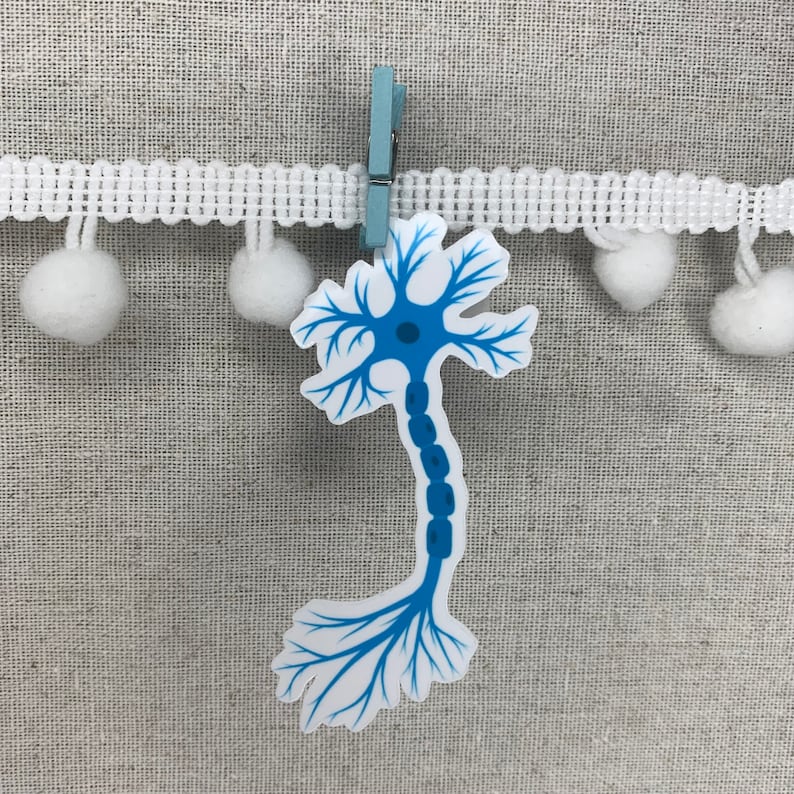 Edible Neuron Sticker Neuron Sticker: Neuroscience Vinyl Decal for Laptop, Water Bottle - Etsy