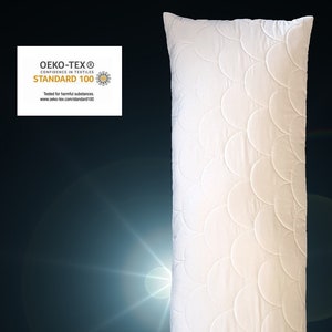 160 X 50 Cm Dakimakura Side Sleeper Pillow Hugging Pillow Etsy