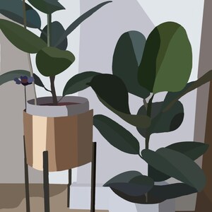 Ficus elastica- Rubber Plant Print