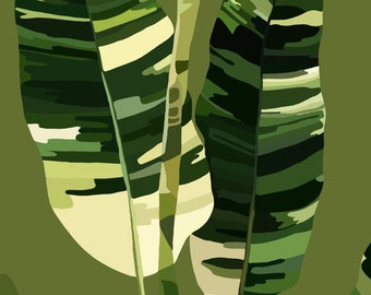 May include: A close-up of three green and white banana leaves with a green background.