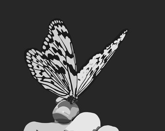 May include: A black and white butterfly with intricate patterns on its wings is held gently in a hand. The butterfly is perched on a finger, its wings spread out.