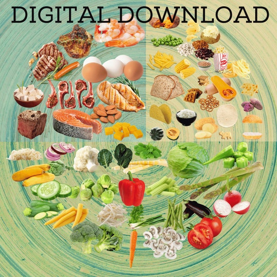 portion control plate<br>portion plate<br>portion food plate<br>food portion plates<br>adult portion plate<br>portion bowls<br>portion size <a href=