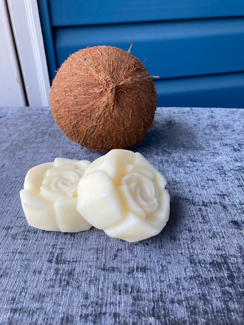 Coconut Milk Conditioner Etsy