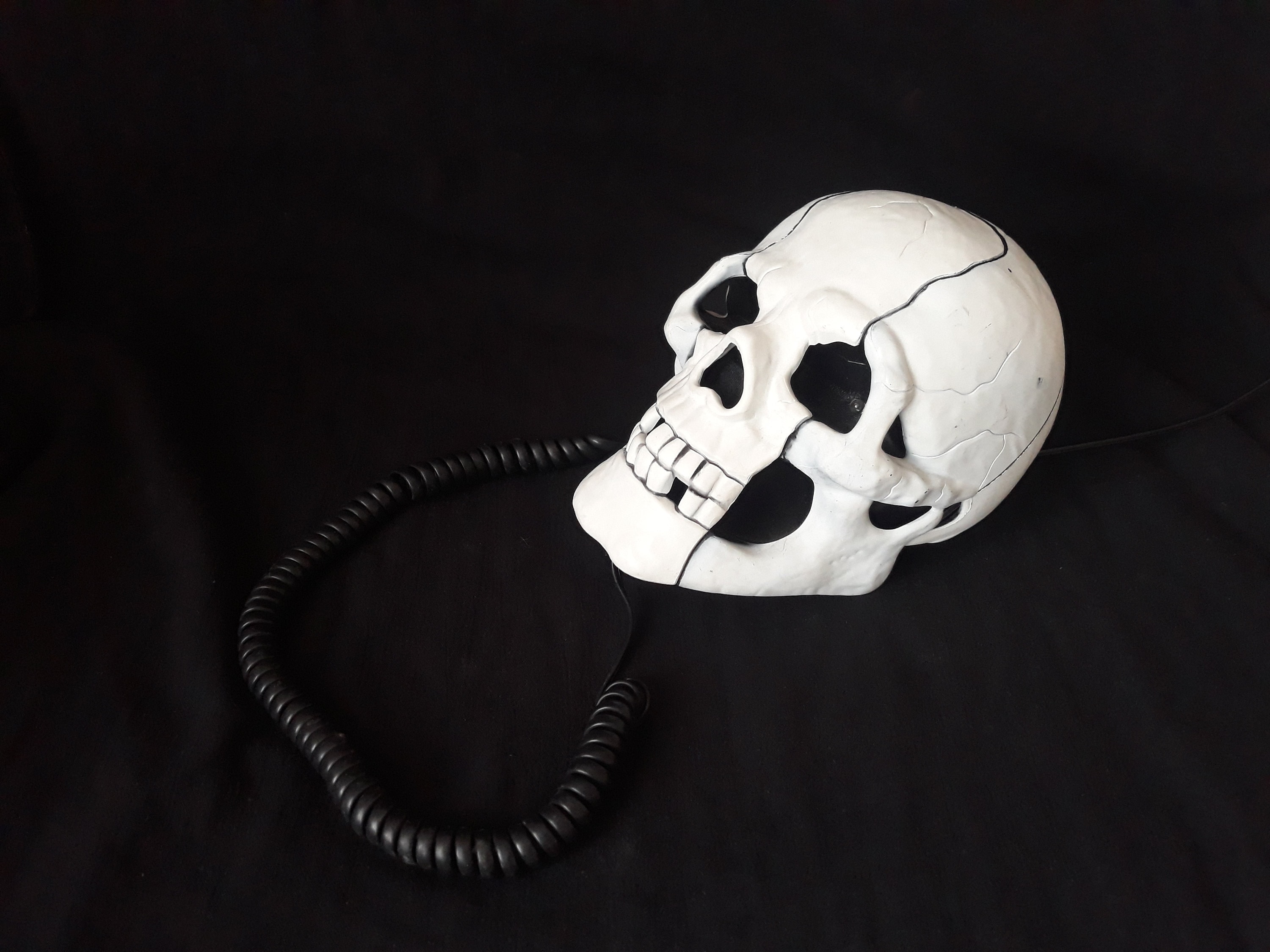 Vintage Skull Home Phone: Spooky Halloween Decor - Etsy