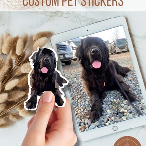 Customized Pet Stickers/Glossy Vinyl Sticker/Cute Pet Sticker/Waterproof Sticker