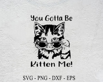 Funny Cat SVG: You Gotta Be Kitten Me, Cat Lover Cut File (Digital Download)