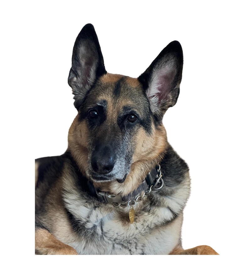 Custom Golf Balls, Gag Gift Christmas Gift Funny Gift Groomsmen Gifts