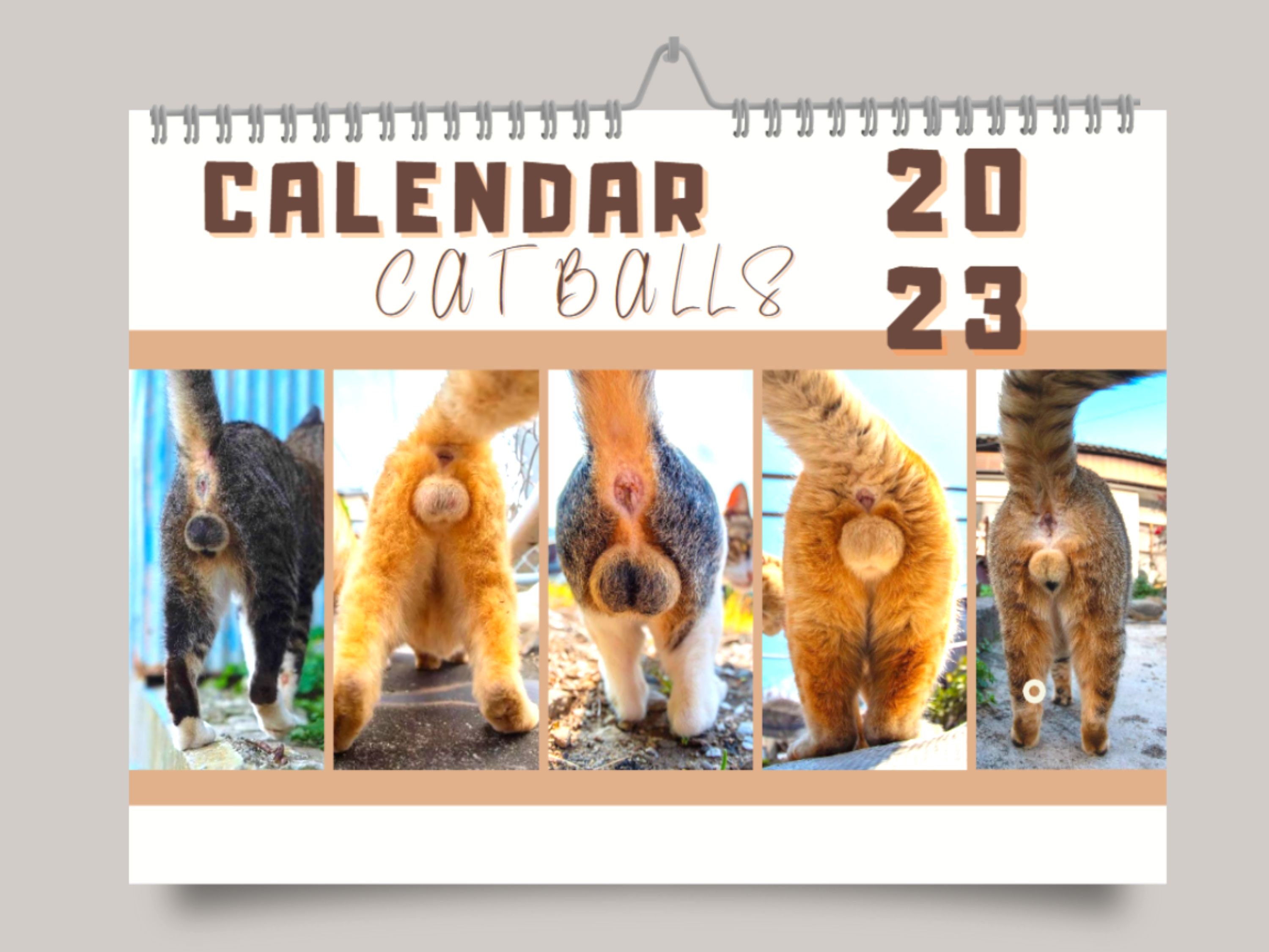 Cats Buttholes Calendar 2023 Funny Gift for a Party Funny - Etsy Denmark