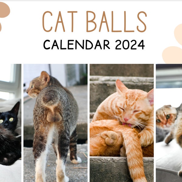 Cat Balls Calendar Etsy
