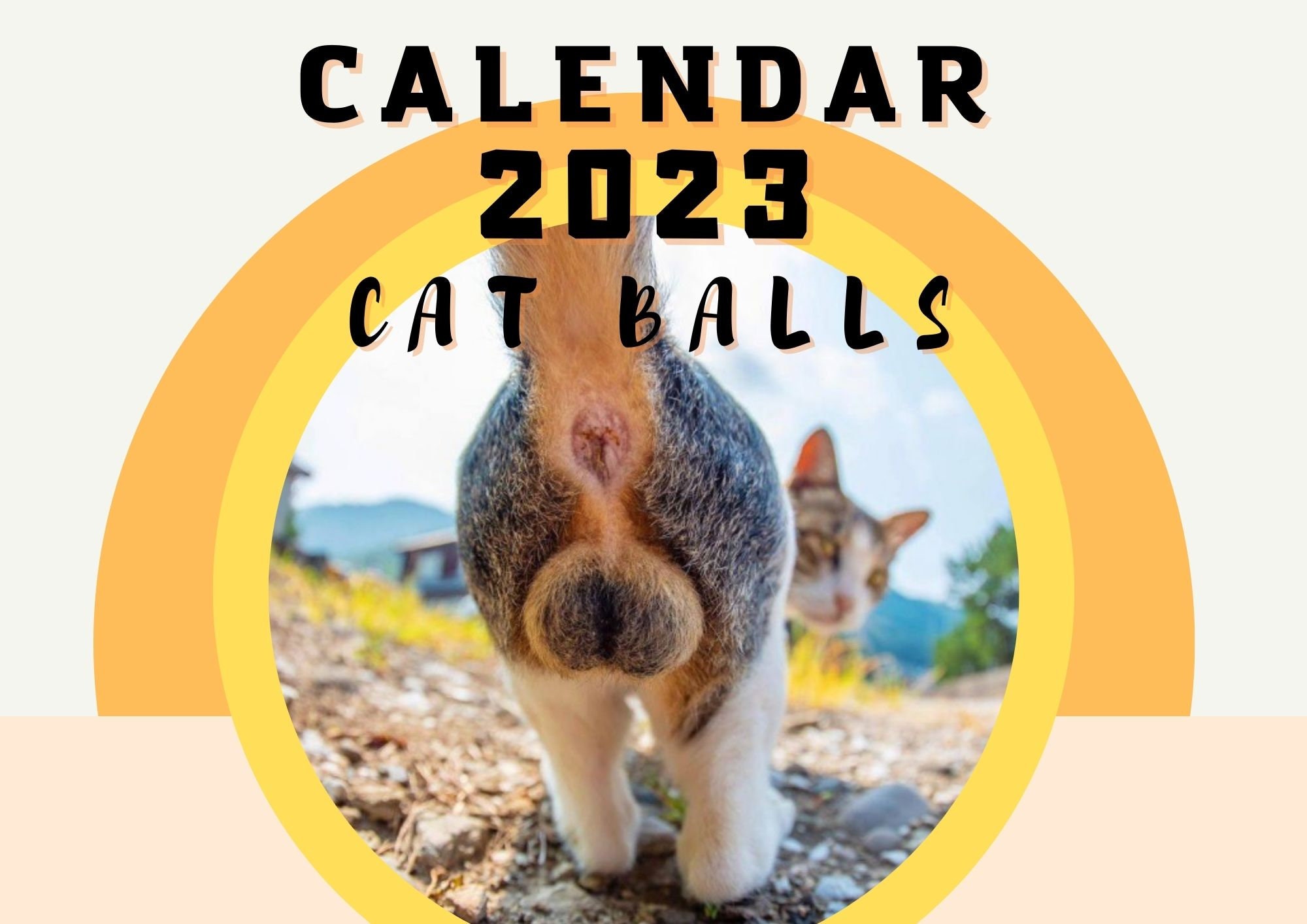 Cat Butthole Calendar 2023 17 X 11 Inches Funny Calendar 2023 12