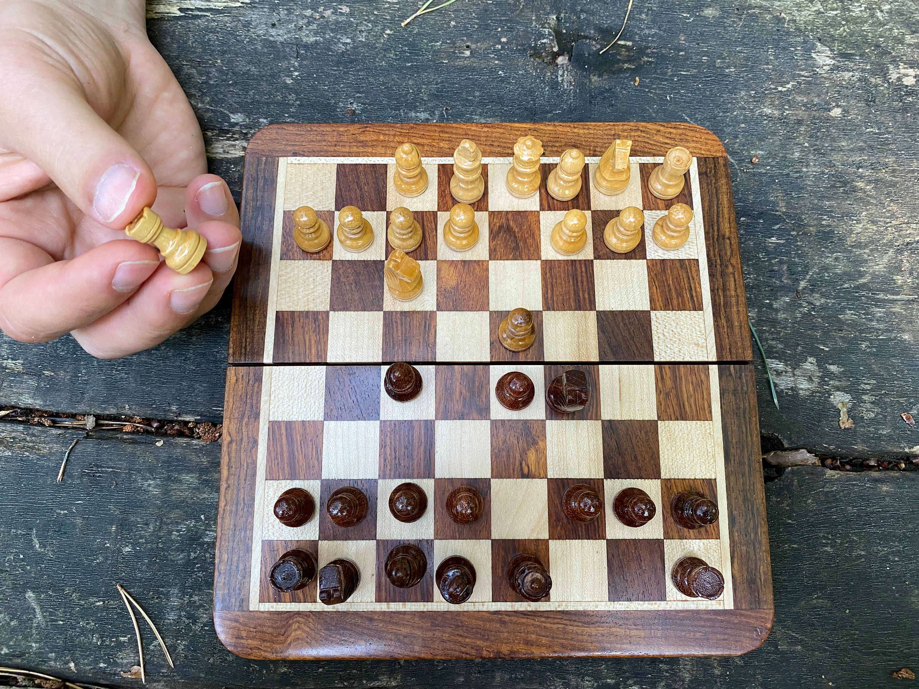 Exploring the sex discrepancy in chess