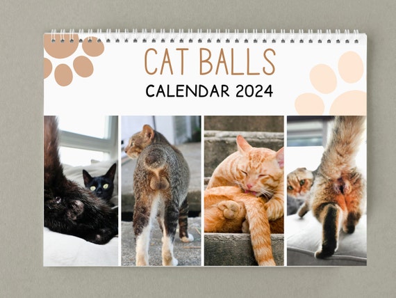 Mini Calendrier 2024 Chat