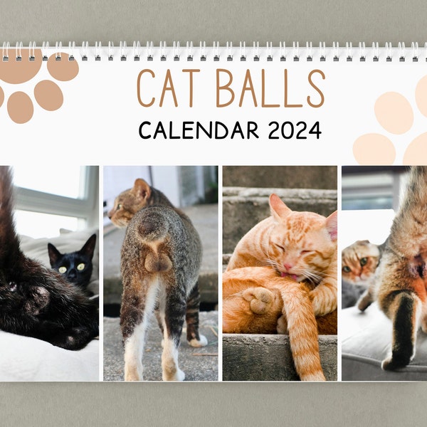 Calendrier drôle de chat - Cadeau drôle - Calendrier 2024 fesses de chat - Cadeaux fantaisie - Pop Cat - Testicules de chat - Cadeaux éléphant blanc drôle