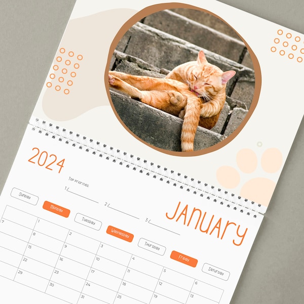 Cats Buttholes Calendar 2024 -  Funny Gift for Christmas  - White Elephant Gifts - Funny cat - Cat butt - Cat Balls -  Buy One, Get Two FREE