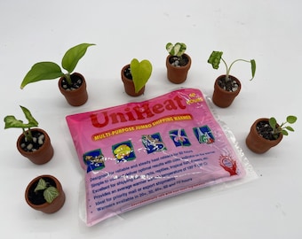 Heat Pack