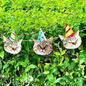 Custom Face Photo Banner, Pet Banner,  Funny Banner, Personalized Face Photo Banner, Dog Birthday Banner