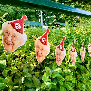 May include: A festive banner of smiling faces, each adorned with a red party hat featuring the number 75. The garland is strung against a backdrop of lush green foliage, perfect for a milestone birthday celebration.