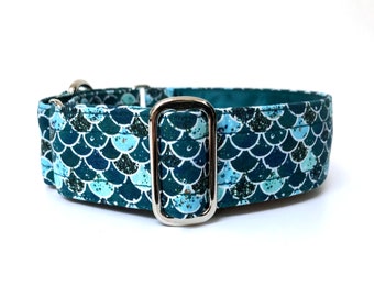Teal blue martingale dog collar, greyhound collar, sighthound collar, bespoke collar, made to measure, with nickel plated hardware
