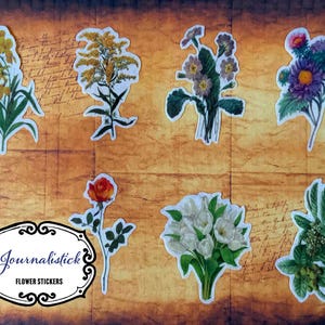 Floral die cut sticker,Botanical themed die cut craft sticker pack scrapbooking/junk journalling, Flower stickers on transparent background.