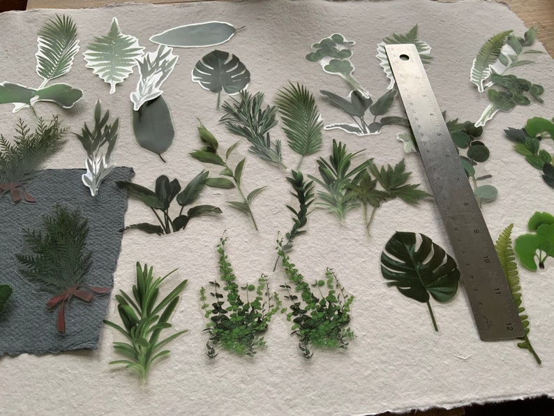 20 Ferns and Foliage transparent large sticker pack, botanical theme scrapbooking stickers, image 4