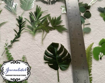 20 Ferns and Foliage transparent large sticker pack, botanical theme scrapbooking stickers,