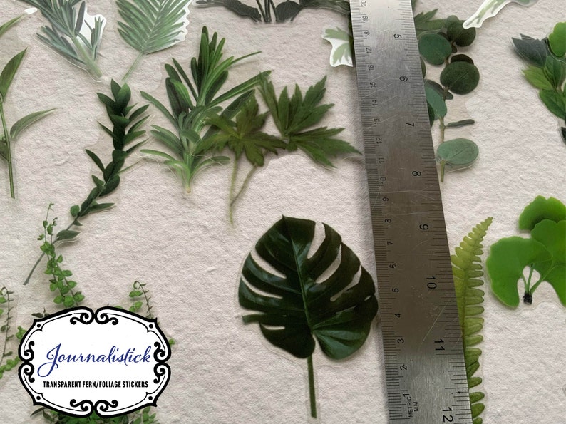 20 Ferns and Foliage transparent large sticker pack, botanical theme scrapbooking stickers, image 1