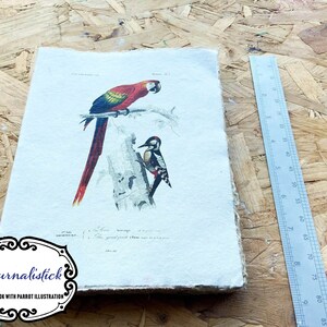 Esclusivo taccuino di carta fatto a mano A5 con illustrazioni di un pappagallo e un picchio.Scrapbooking, Junk journaling, bullet journaling,