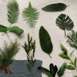 20 Ferns and Foliage transparent large sticker pack, botanical theme scrapbooking stickers, image 3