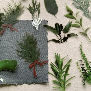 20 Ferns and Foliage transparent large sticker pack, botanical theme scrapbooking stickers, image 2