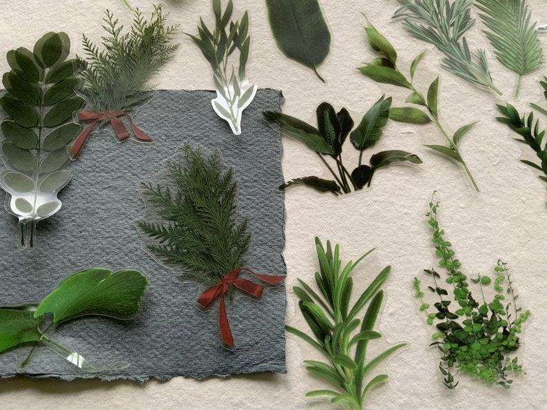 20 Ferns and Foliage transparent large sticker pack, botanical theme scrapbooking stickers, image 2