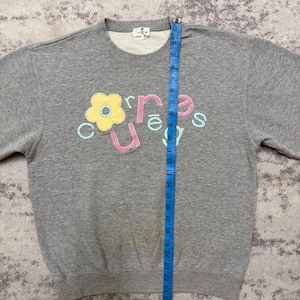 May include: A gray sweatshirt with a crew neck and long sleeves. The front features the word "curious" in a playful font, with a flower graphic. The sweatshirt is measured with a blue tape measure.