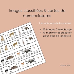 Montessori Classified Pictures and Nomenclature Cards – Savannah Animals – PDF Download for Kids