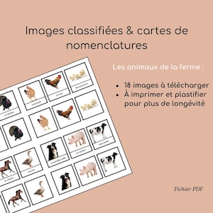 Montessori Classified Pictures and Nomenclature Cards – Farm Animals – PDF Download for Kids