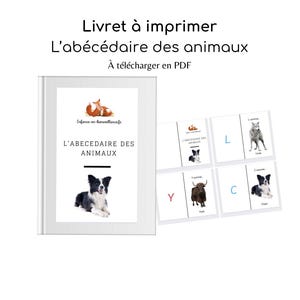 Printable Booklet - Animal ABCs with Real Photos
