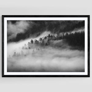 Cloud Forest, British Columbia, Fine Art Print, Canadian Landscape, Black and White Photo, Mountain Art, Landscape Photography, Rainforest