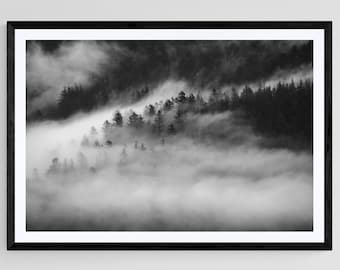 Cloud Forest, British Columbia, Fine Art Print, Canadian Landscape, Black and White Photo, Mountain Art, Landscape Photography, Rainforest