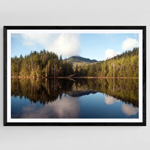 Great Bear Rainforest, British Columbia, Canada Landscape, Forest Art, Nature Photography, Landscape Photo, Forest Photo, Canada Photography