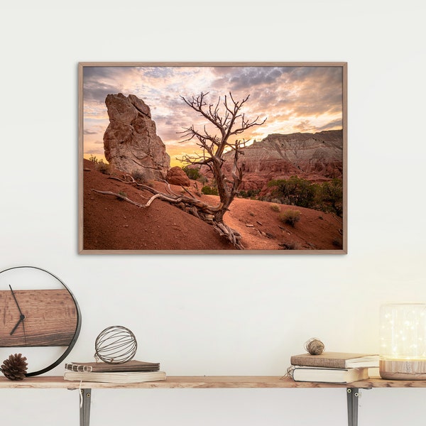 Landscape Bundle / Boho Desert, Boho Western, Boho Home Decor, Kodak, Utah Landscape, Red Desert, Boho Rustic, Tree Wall Art and Home Decor