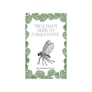 Puede incluir: Una guía blanca con un borde verde de hojas tropicales. La guía se titula "The Ultimate Guide to Fungus Gnats" y presenta una ilustración en blanco y negro de un mosquito de los hongos. El texto "#PlantsNGreens by Elicja" está en la parte inferior de la guía.