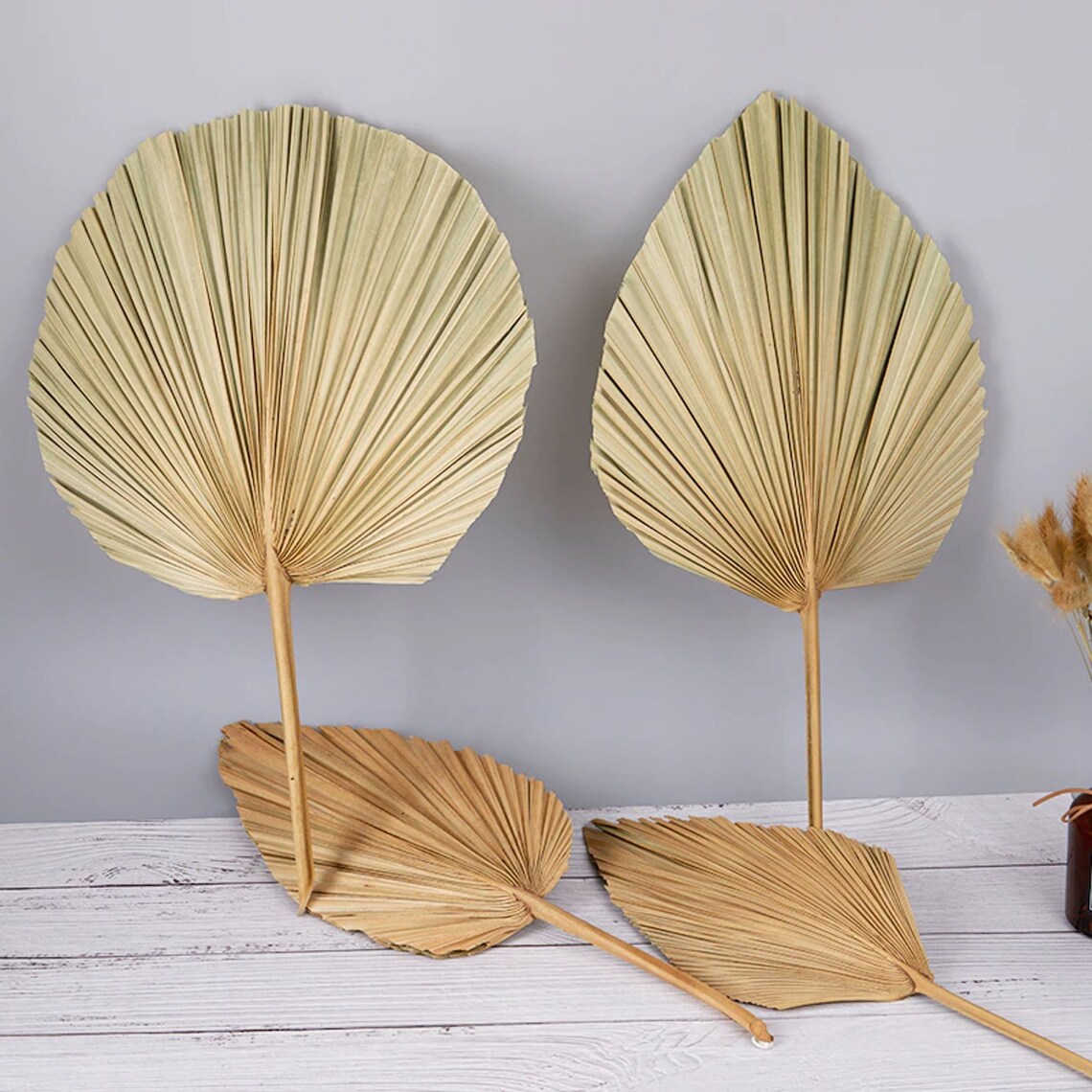 Dry Palm Leaf / palms fans/ preserved palms / palm fronds/ Etsy
