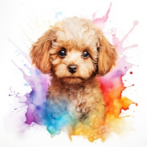 Aquarel Toy Poedel Clipart | 10 Hoge kwaliteit JPG | Scrapbooking, kaarten maken, digitaal papierwerk | Commercieel gebruik | Digitaal downloaden