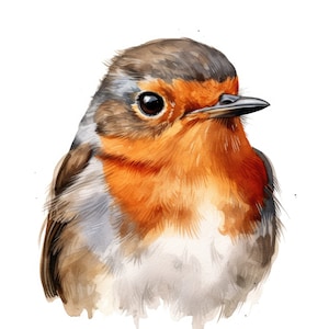 Robin Clipart Watercolor | 10 High Quality JPG | Scrapbooking, Card Making, Digital Paper Craft | Commercial Use | Digital Download