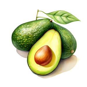 Aquarell Avocado Clipart | 10 hochwertige JPG | Scrapbooking, Kartengestaltung, Digital Paper Craft | Kommerzielle Nutzung | Digitaler Download