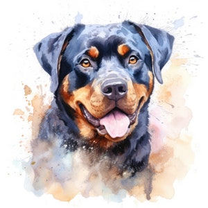 Clipart de chien Rottweiler aquarelle | 10 JPG de haute qualité | Scrapbooking, Carterie, Digital Paper Craft | Utilisation commerciale | Téléchargement numérique