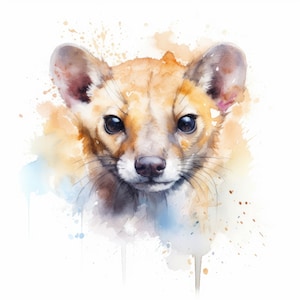 Fossa Watercolor Clipart Madagascar Animal | 10 High Quality JPG | Scrapbooking, Card Making | Commercial Use | Digital Download