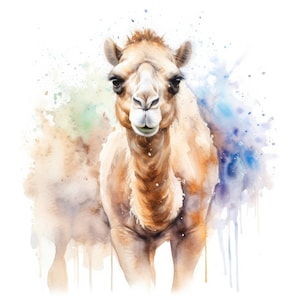 Acquerello Camel Clipart / 10 JPG di alta qualità / Scrapbooking, creazione di carte, mestiere di carta digitale / uso commerciale / Download digitale