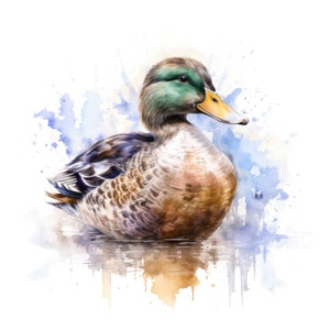 Mallard Duck Clipart | 10 High Quality JPG | Scrapbooking, Card making, Digital Paper Craft | Commercial Use | Digital Download