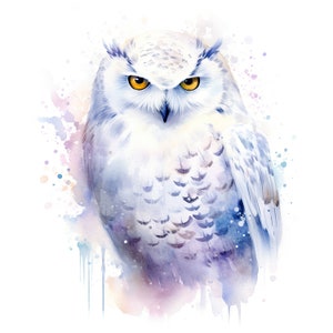 Clipart de harfang des neiges | 10 JPG de haute qualité | Scrapbooking, Carterie, Digital Paper Craft | Utilisation commerciale | Téléchargement numérique