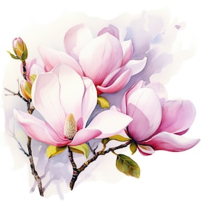 Magnolia Flower Clipart / 10 JPG de alta calidad / Scrapbooking, Fabricación de tarjetas, Artesanía de papel digital / Uso comercial / Descarga digital